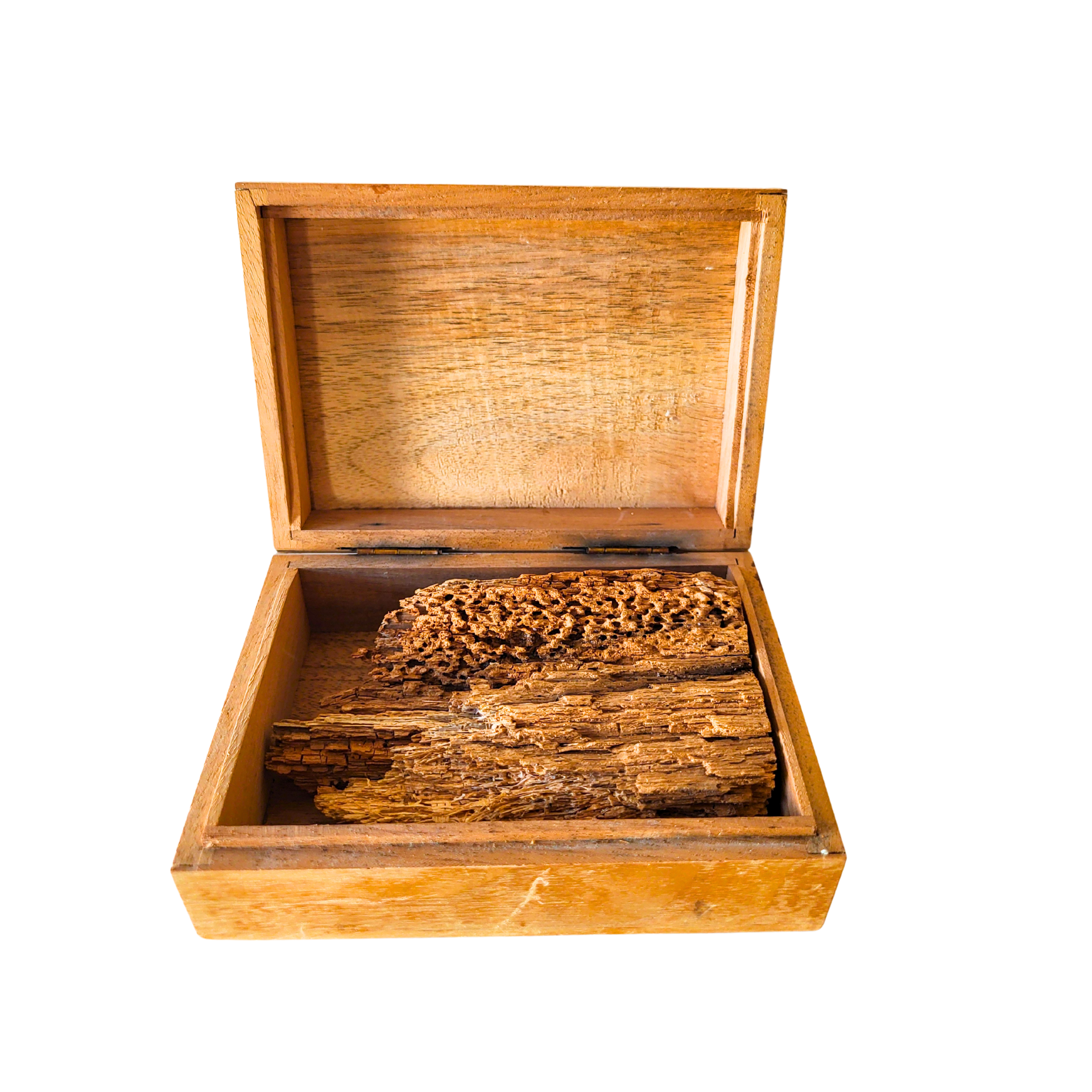 Object #15