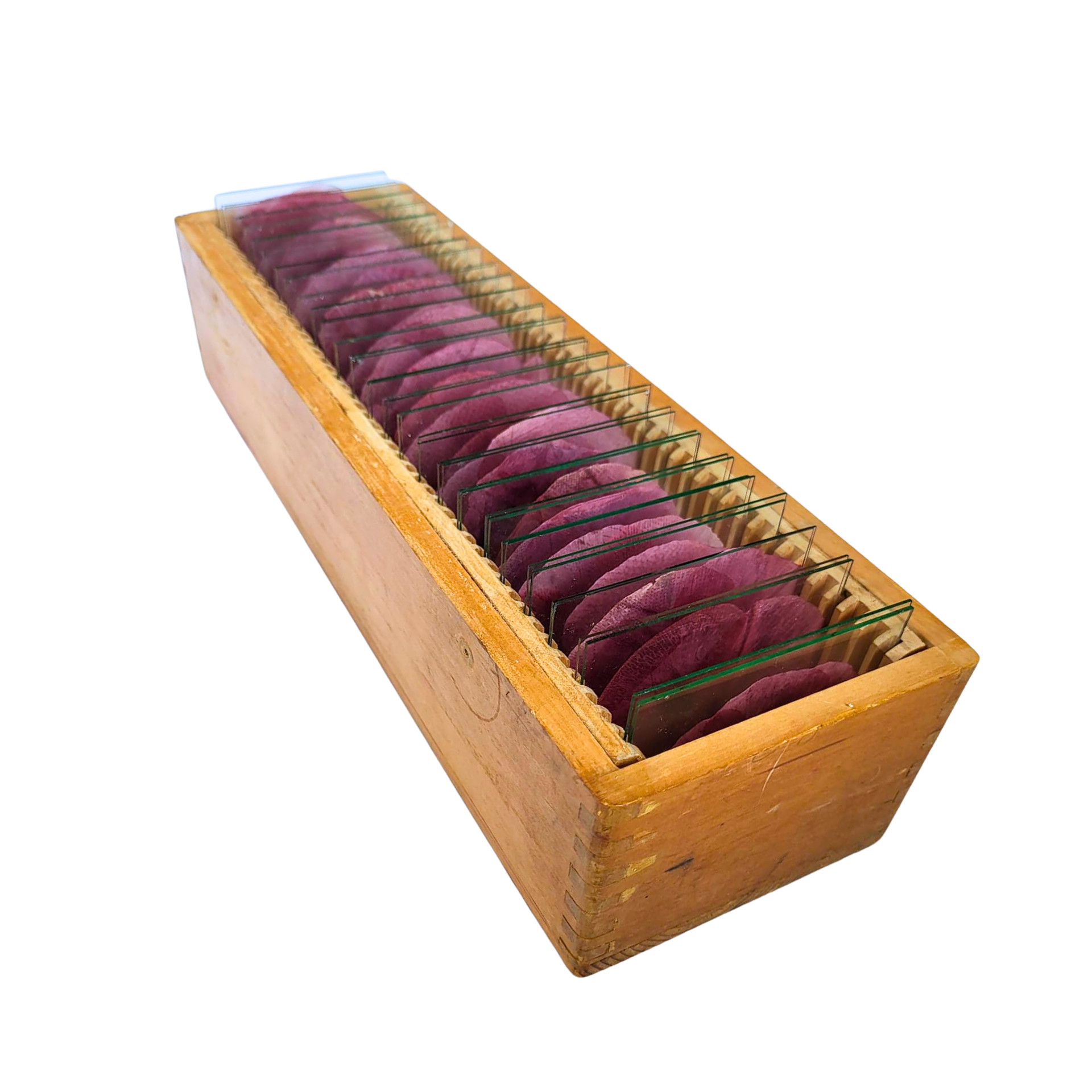 Object #20