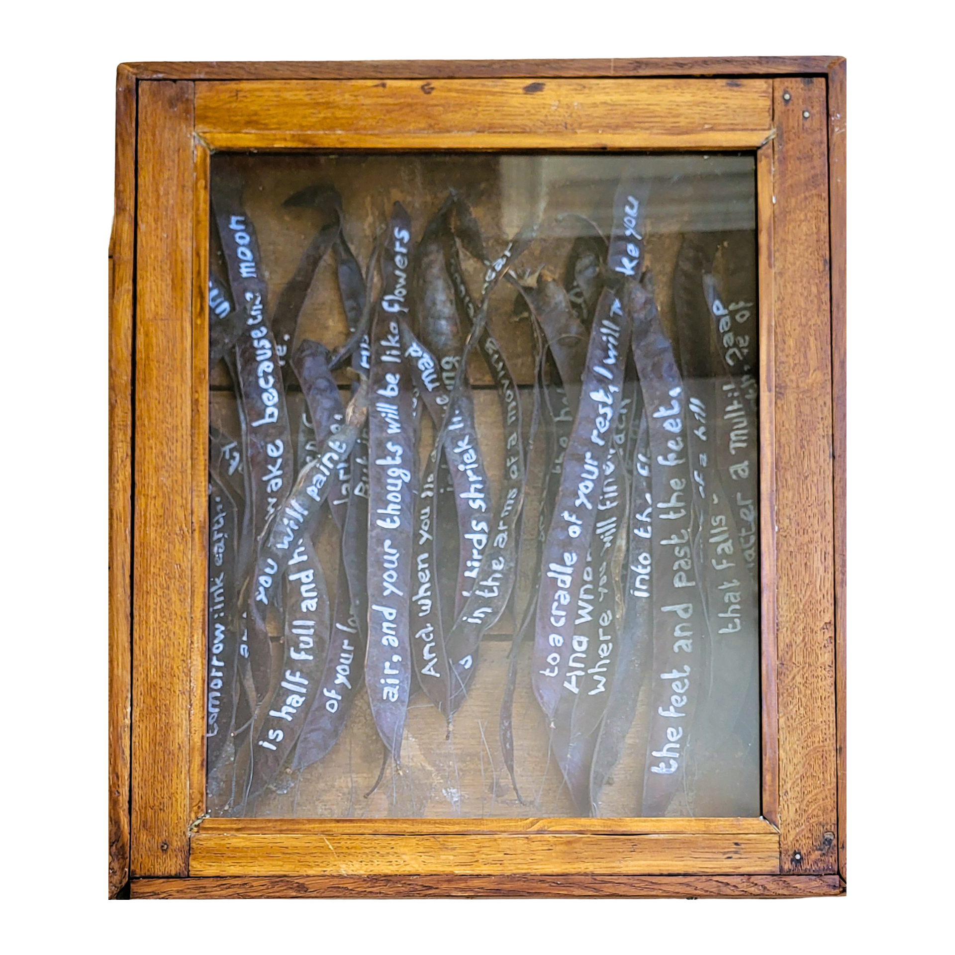 Object #22