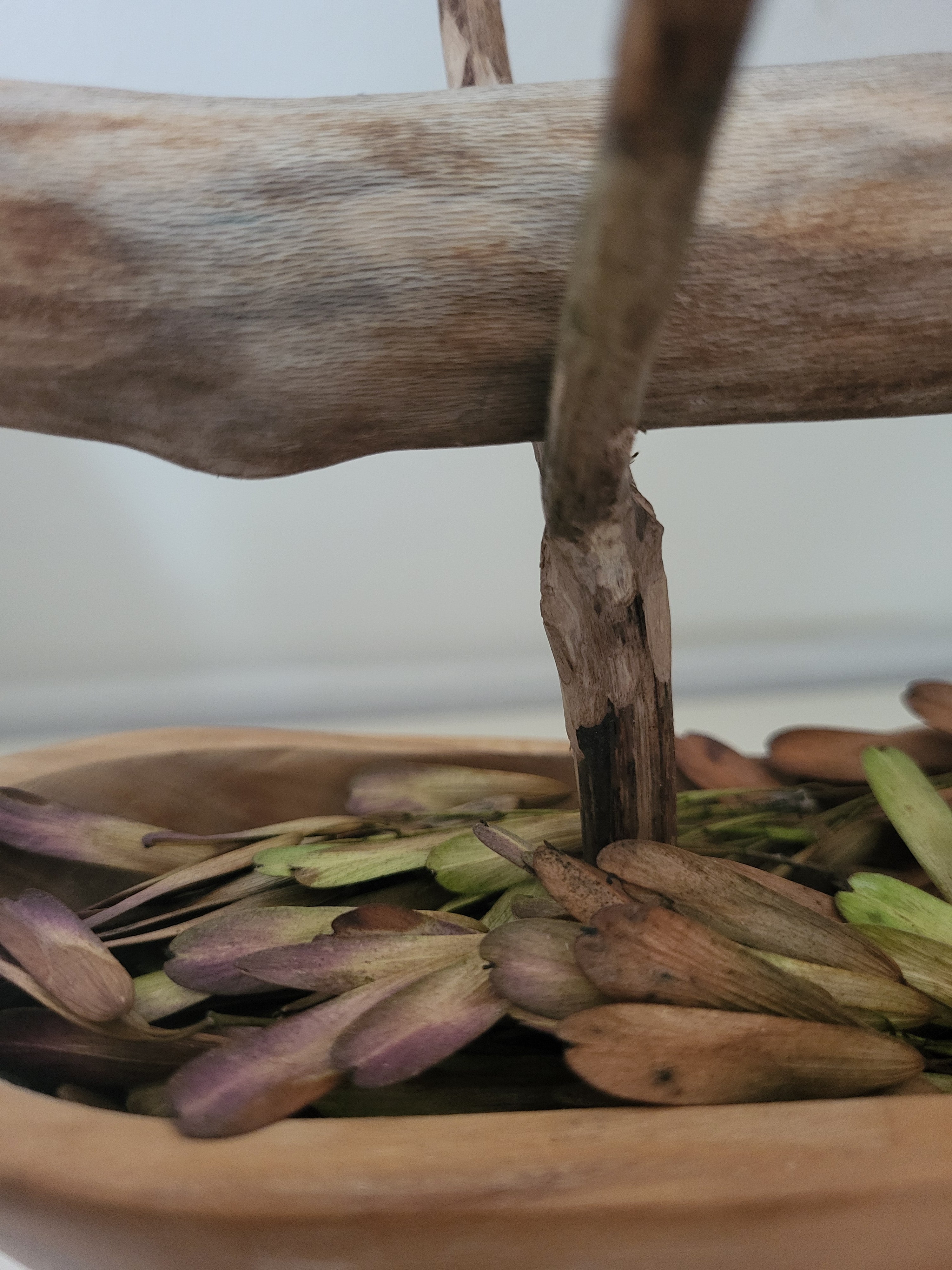 Object #17