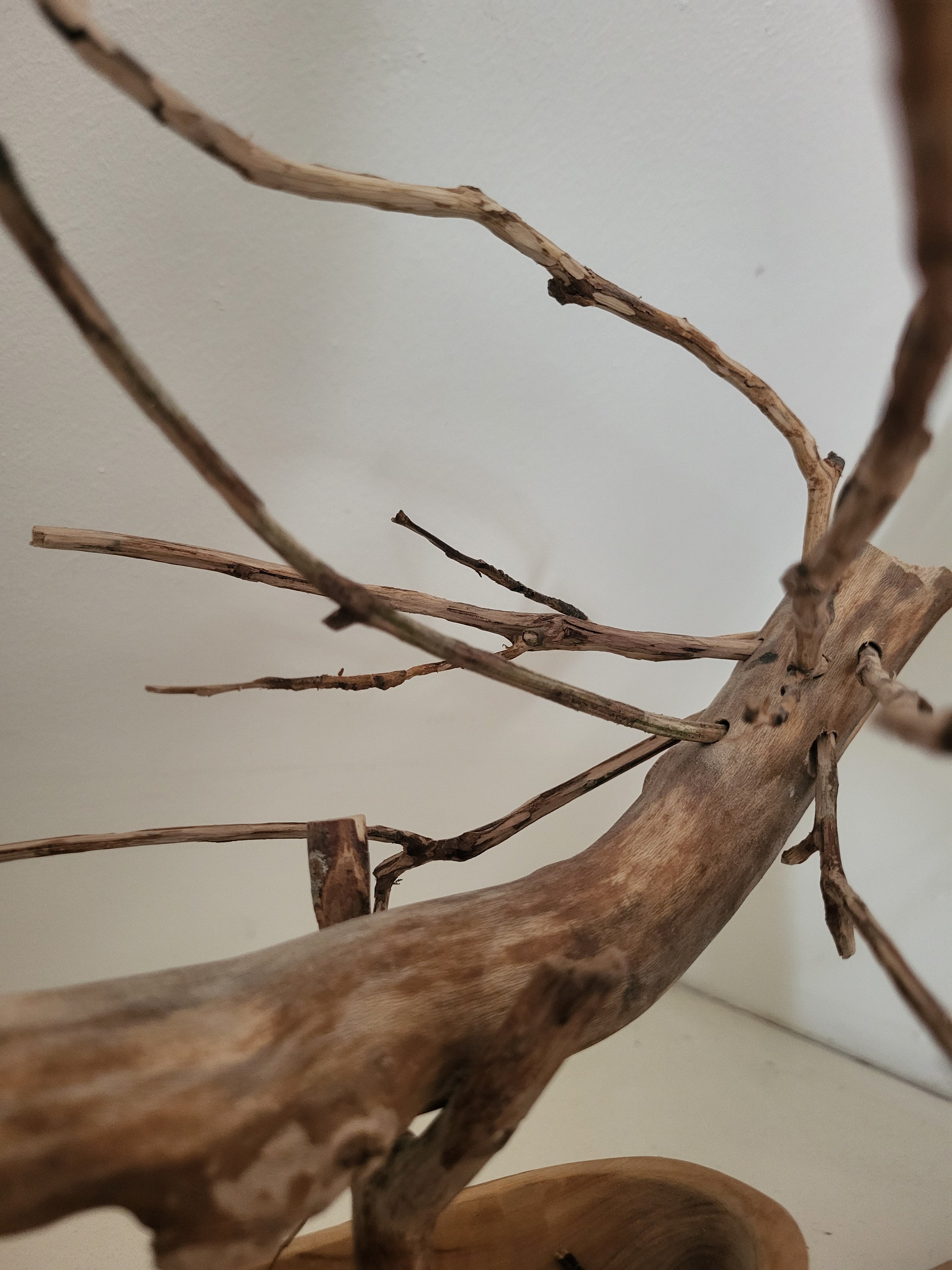 Object #17