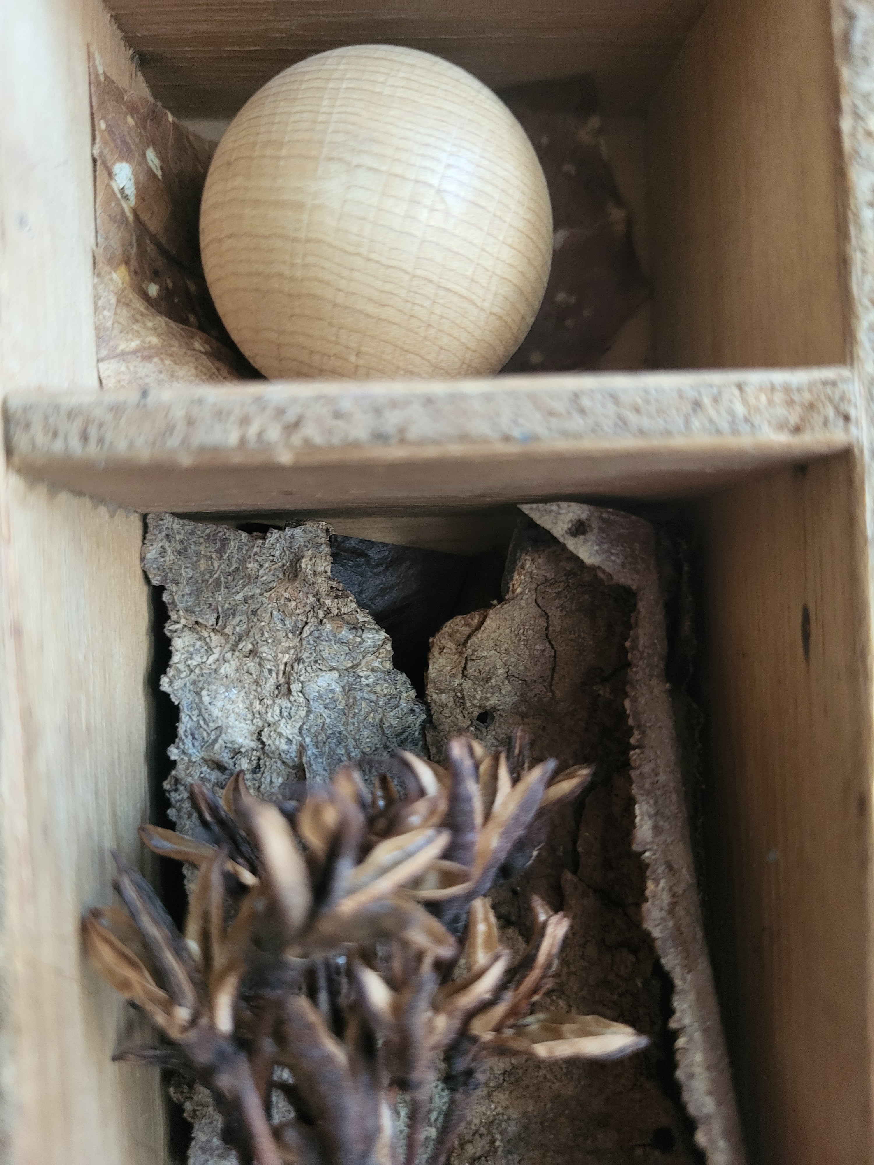 Object #18