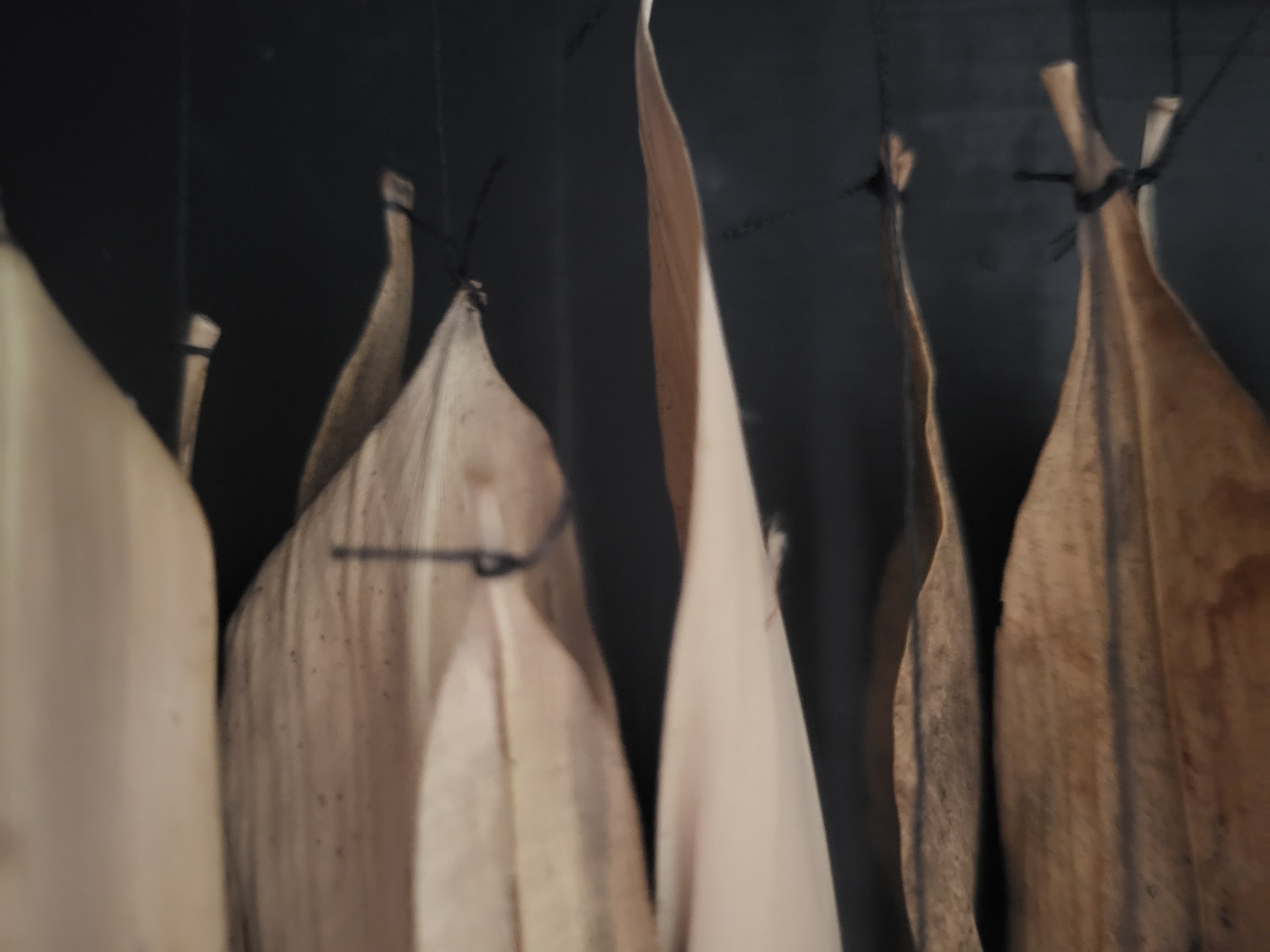 Object #23