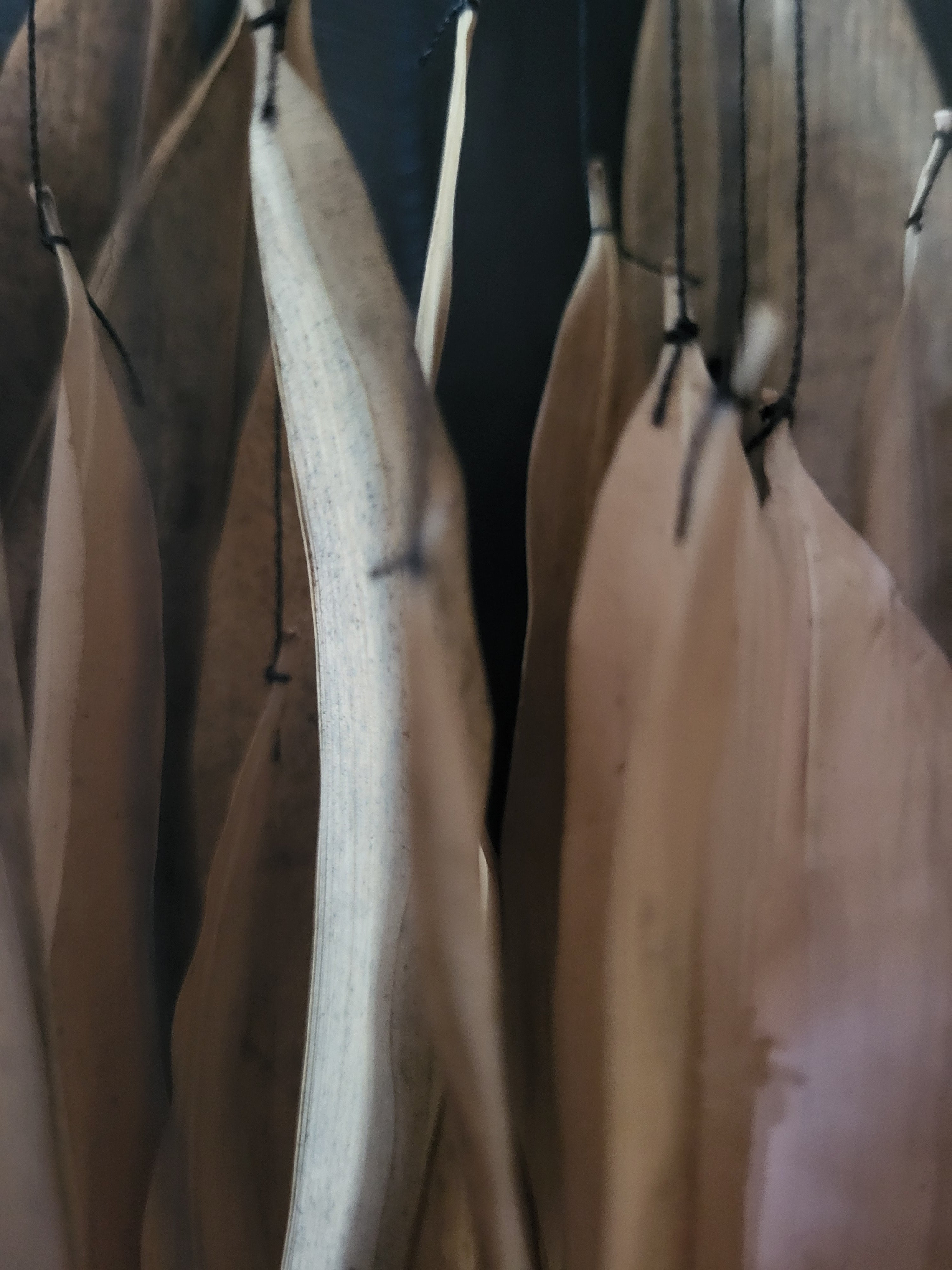 Object #23